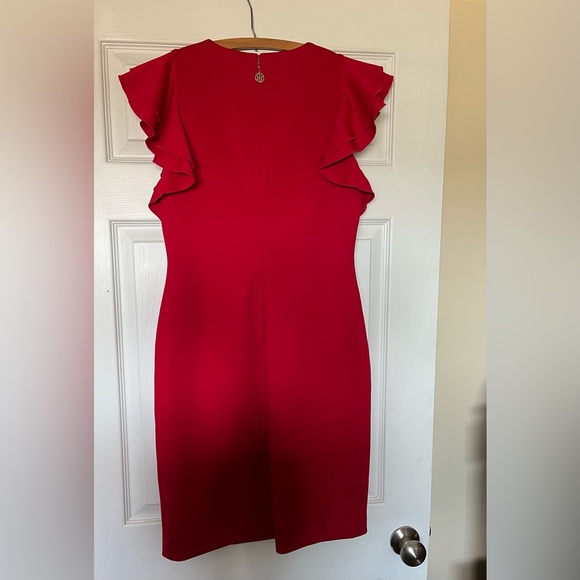 Red Ruffle Sleeve Dress - Picture 4 of 4